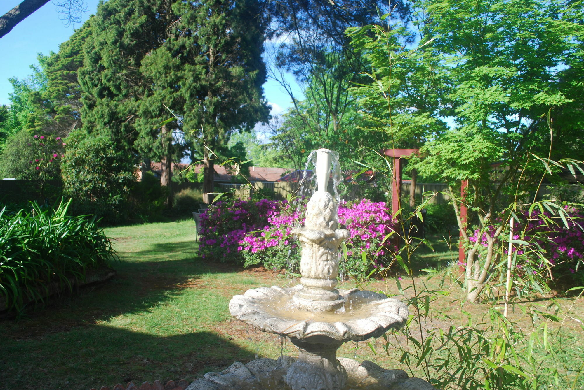 Norwood Mountain Lodge Blackheath Zewnętrze zdjęcie